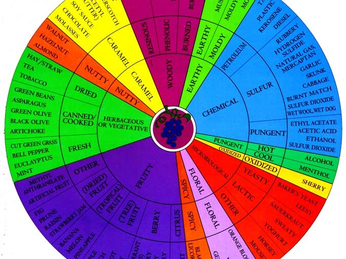 The Davis Wine Aroma Wheel